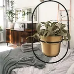 Apartman Townhall Poznań