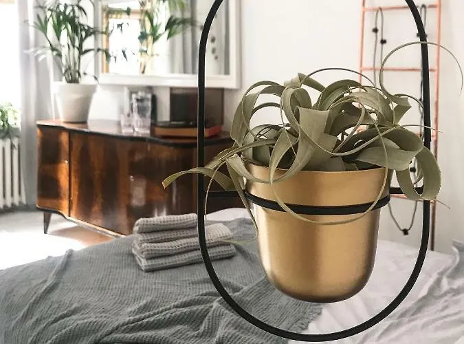 Apartment Townhall Poznan